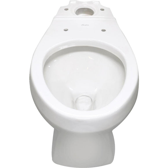 Cato Terra White Elongated 17 In. ADA Toilet Bowl