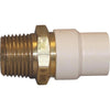 Charlotte Pipe 1/2 In. Slip x Brass MIP CPVC Transition Adapter