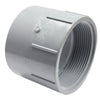 Canplas PVC DWV Female Adapter (FPT) x Hub