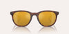 Native Targhee Lifestyle Sunglasses