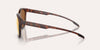 Native Targhee Lifestyle Sunglasses