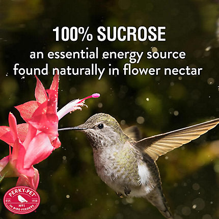 Perky-Pet® Red Powder Hummingbird Nectar Concentrate
