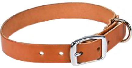 SNG LEATHER COLLAR 3/4 X 19