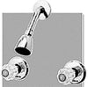 FAUCET SHOWER