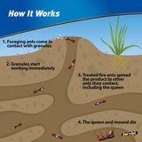 Over' N Out 100525676 Advanced Fire Ant Killer, Granules, 7.33 Ph